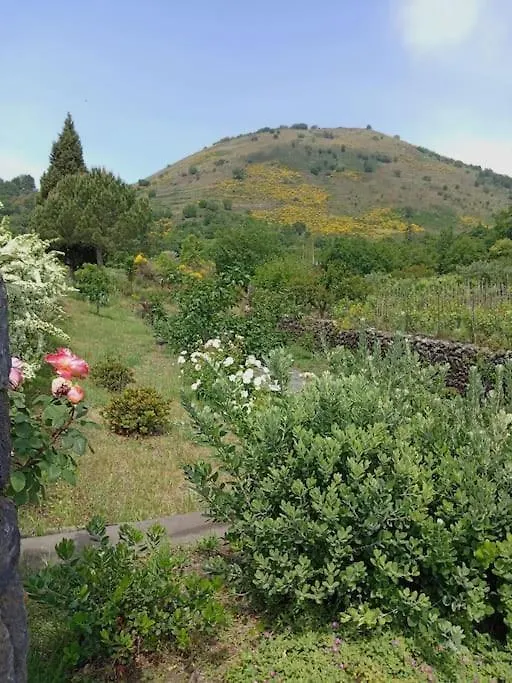 Casa Varanni Fleri 0*,