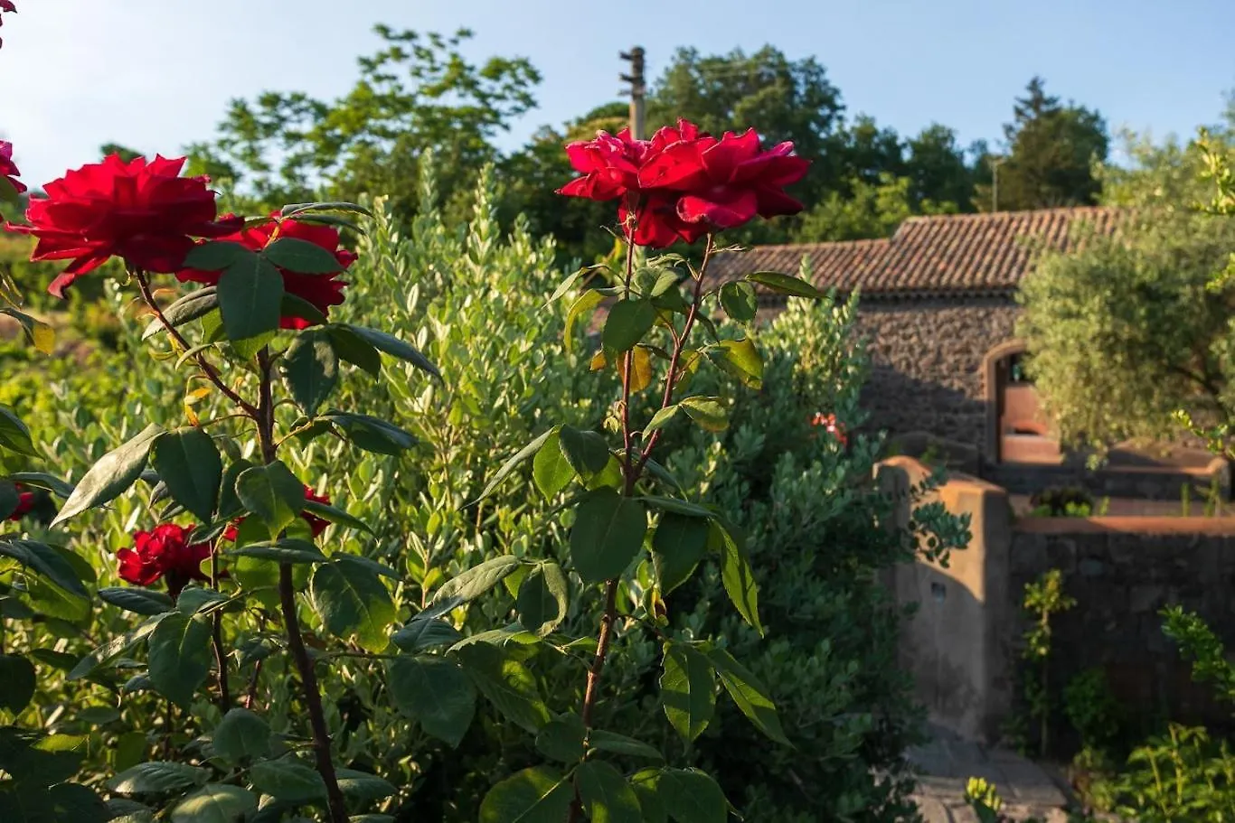 Villa Casa Varanni Fleri Italië